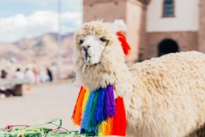 travel photography cusco peru south america sony a6000