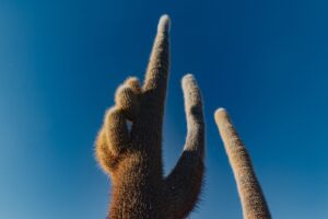 uyuni salt flats tour travel photography bolivia south america sony a6000