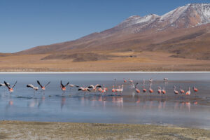 uyuni salt flats tour travel photography bolivia south america sony a6000