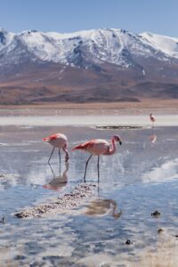 uyuni salt flats tour travel photography bolivia south america sony a6000