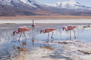 uyuni salt flats tour travel photography bolivia south america sony a6000