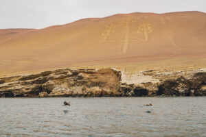 paracas boat travel photography peru south america sony a6000