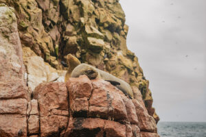 paracas boat travel photography peru south america sony a6000