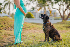 grand cayman maternity family dog photography