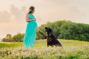 grand cayman maternity family dog photography