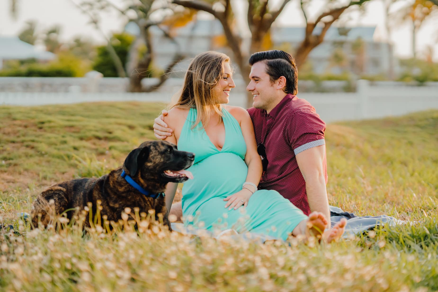 grand cayman maternity family dog photography