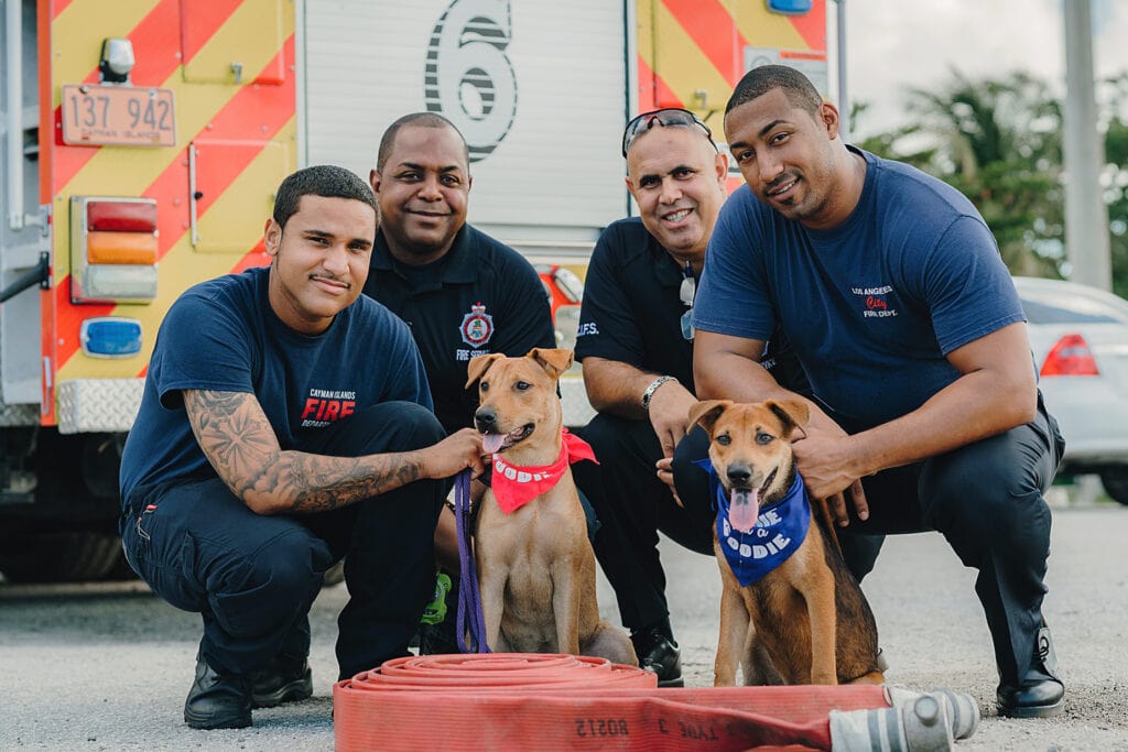 dog puppy fire fighter cayman humane society photography