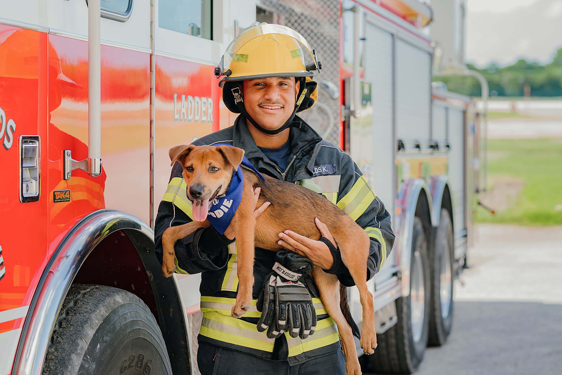 dog puppy fire fighter cayman humane society photography