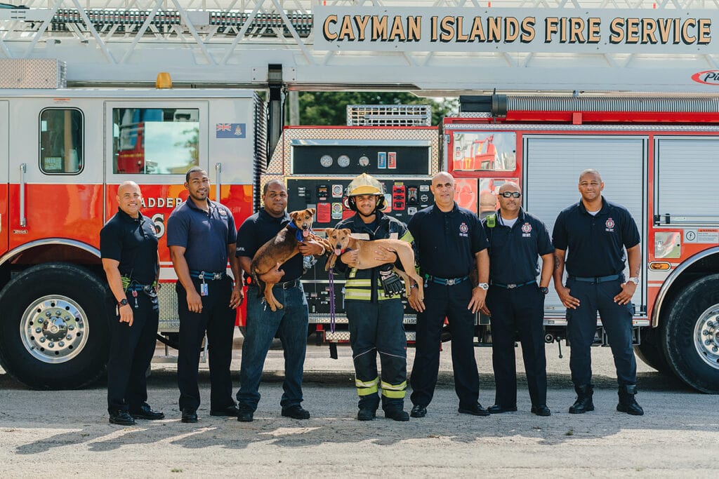 dog puppy fire fighter cayman humane society photography