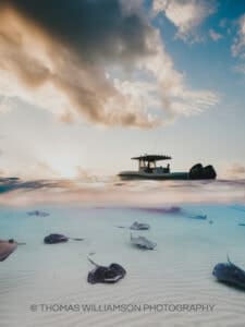 stingray city sunrise grand cayman underwater photography