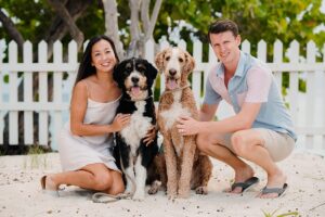 auckland couple photographer dog beach