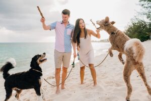 auckland couple photographer dog beach