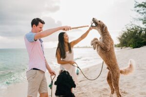 auckland couple photographer dog beach