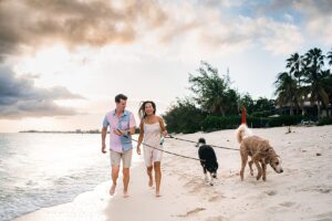 auckland couple photographer dog beach