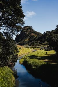 auckland karekare beach travel photography