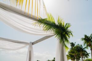 auckland wedding photographer beach