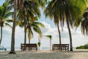 auckland wedding photographer beach