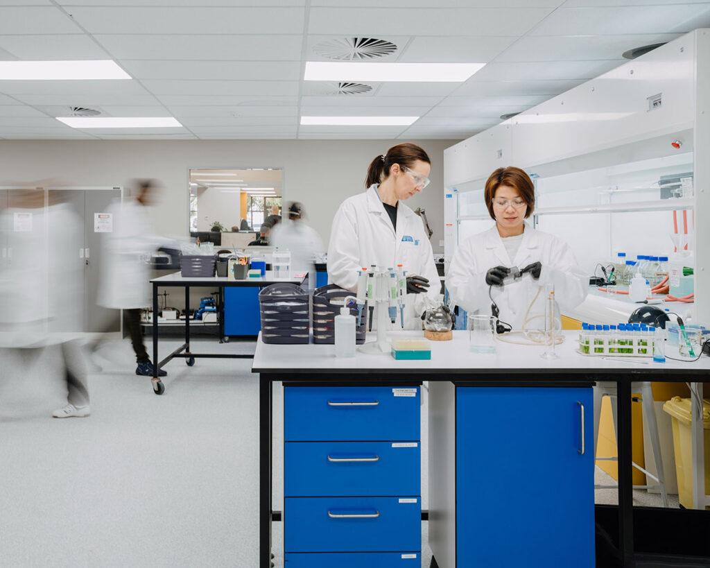 auckland work environment office laboratory photographer