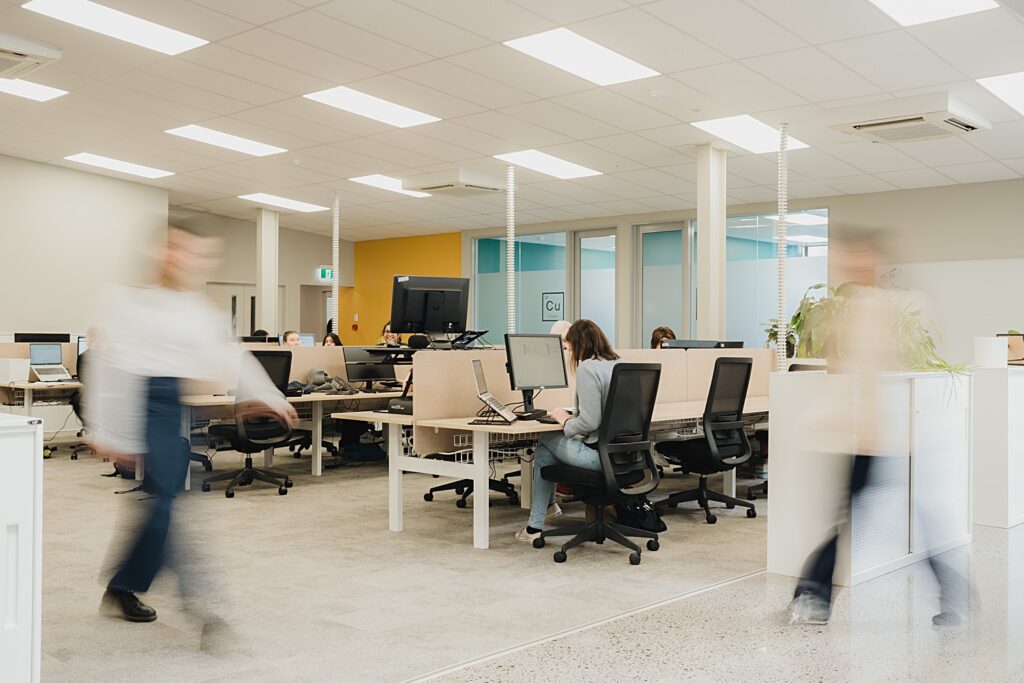 Auckland corporate commercial workplace office photographer