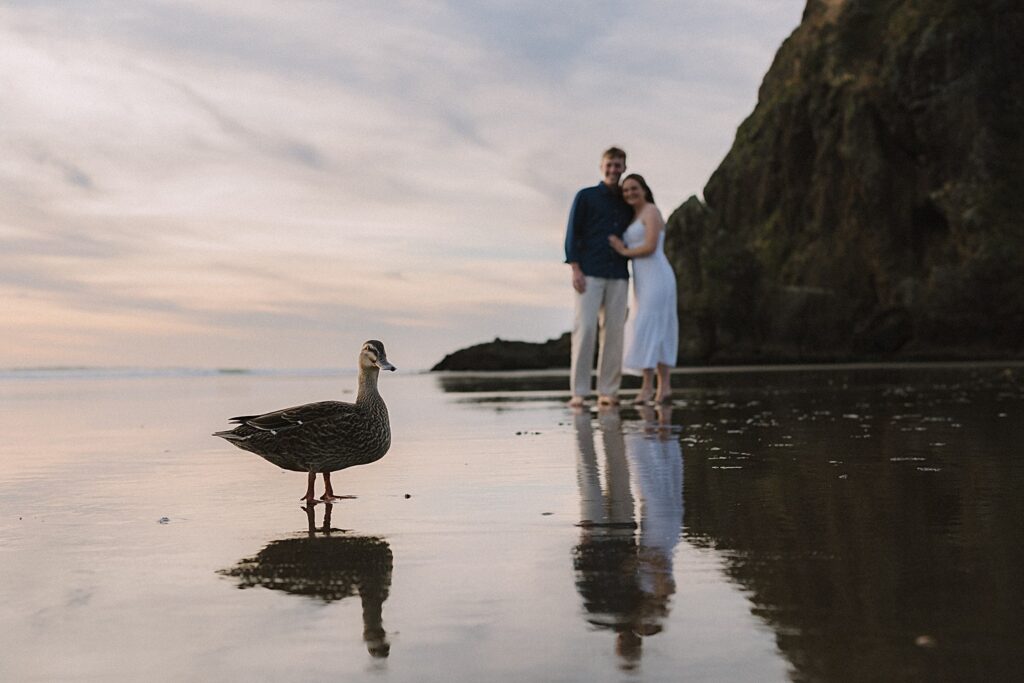 Piha beach auckland couple engagement photographer
